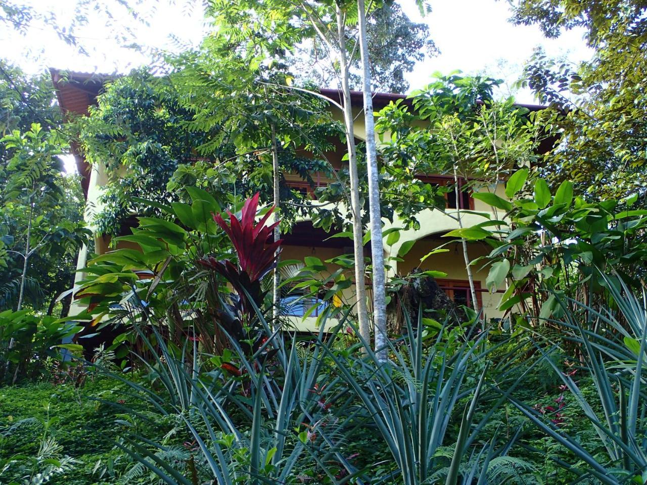 Morrillo Beach Eco Resort 외부 사진